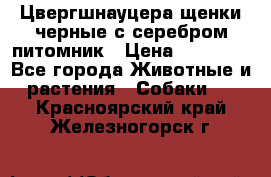 Цвергшнауцера щенки черные с серебром питомник › Цена ­ 30 000 - Все города Животные и растения » Собаки   . Красноярский край,Железногорск г.